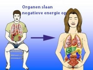 Energeën in organen - image