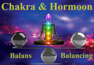 Behandeling & Workshop Chakra & Hormoon Balancing Voorlopig alleen de behandeling… - image